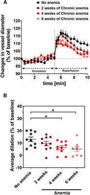 Chronic anemia is associated with systemic endothelial dysfunction